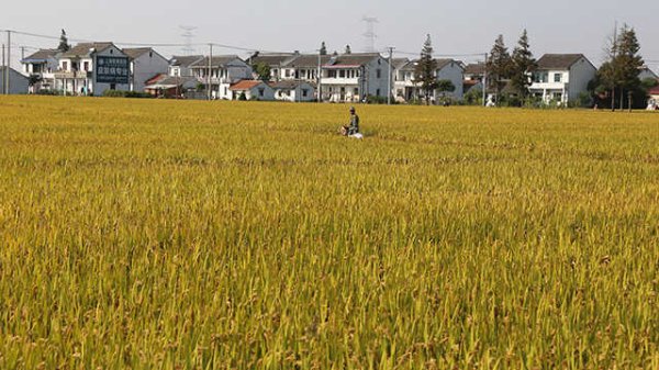 大财配资 中共中央 国务院印发《关于实施自由贸易试验区提升战略的意见》